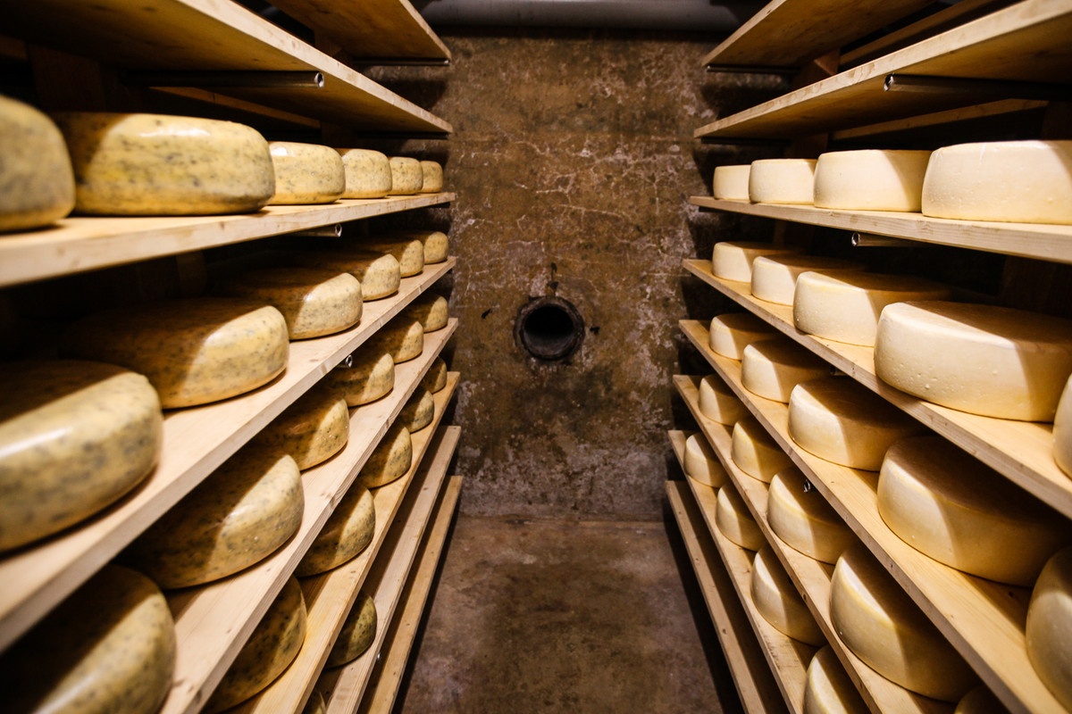 Kaasbunker(klein)-MKB-19