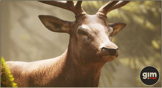 Unreal Engine Marketplace - Animalia - Red Deer (male)