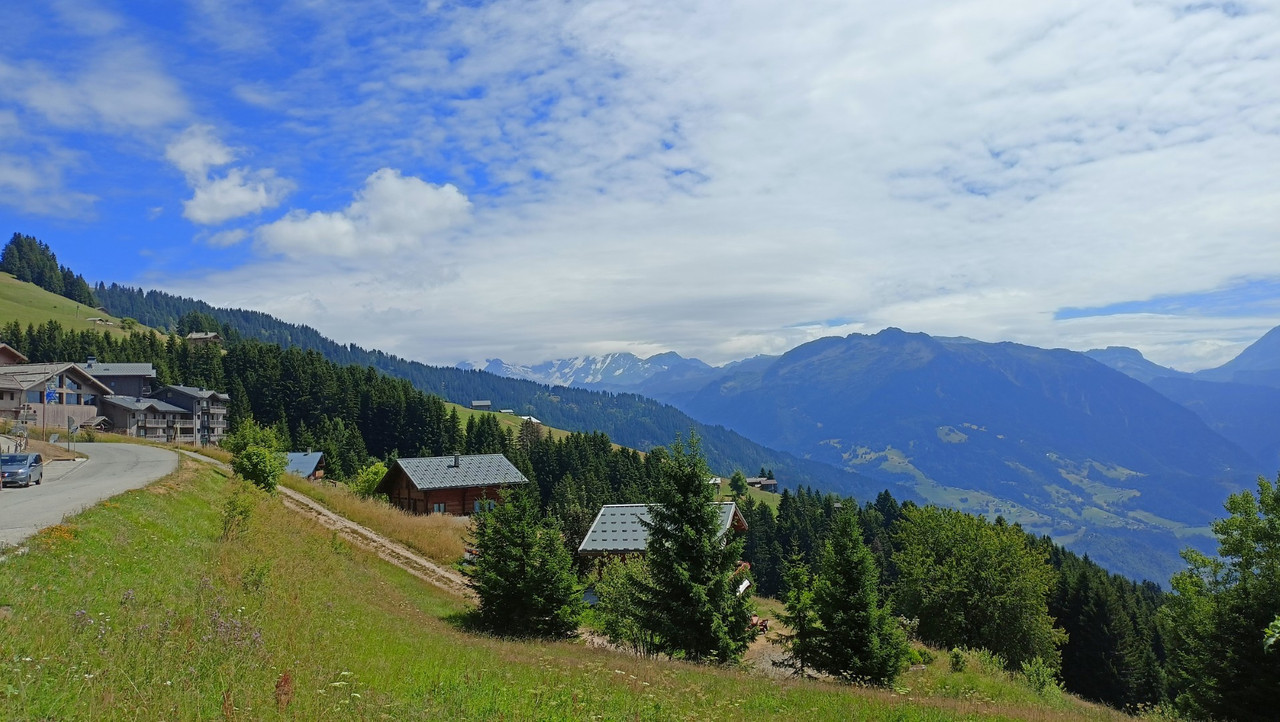 IMG20250716123032 (Large)