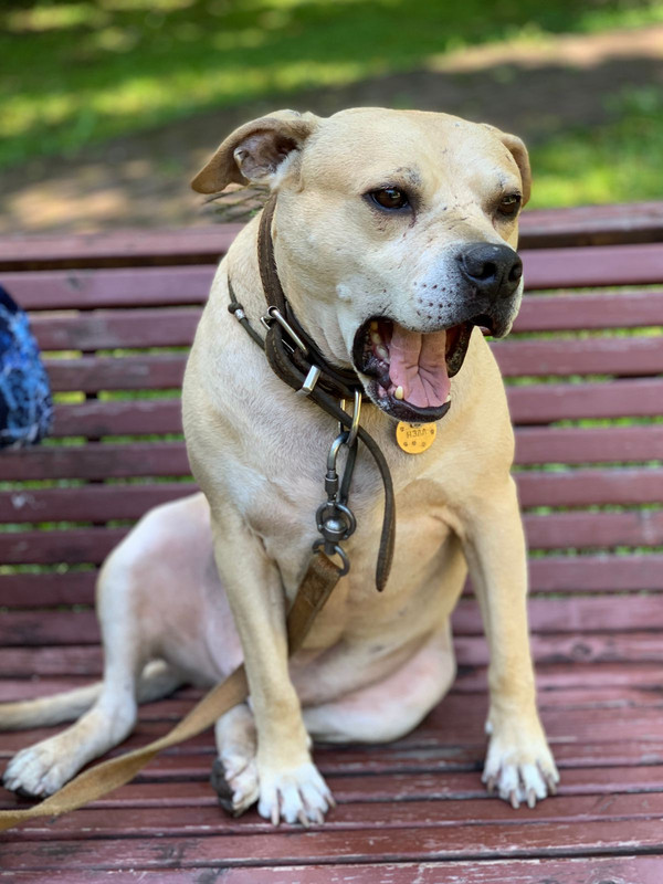 4C92EF18-37D6-44F4-8DAE-18115A94E458