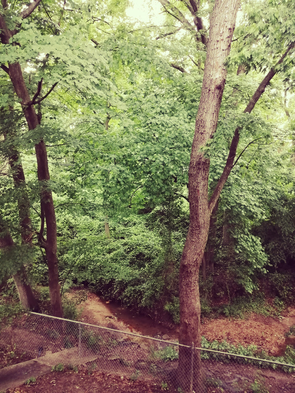 IMG_٢٠٢١٠٦١٠_١٥٢٣١٩