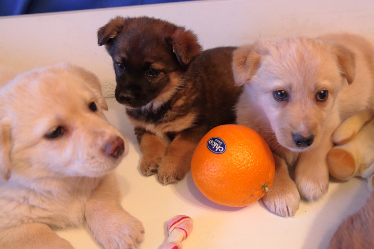 7B09938C-B905-41A2-9DC2-2D93C2F2848C