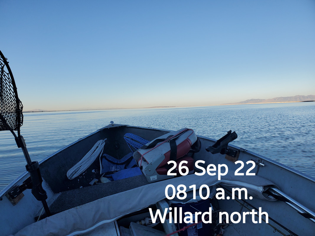 (081) 26 Sep 2022