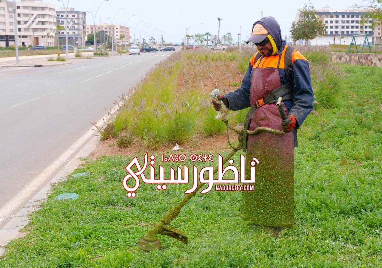 Whats-App-Image-2026-06-05-at-20-05-34