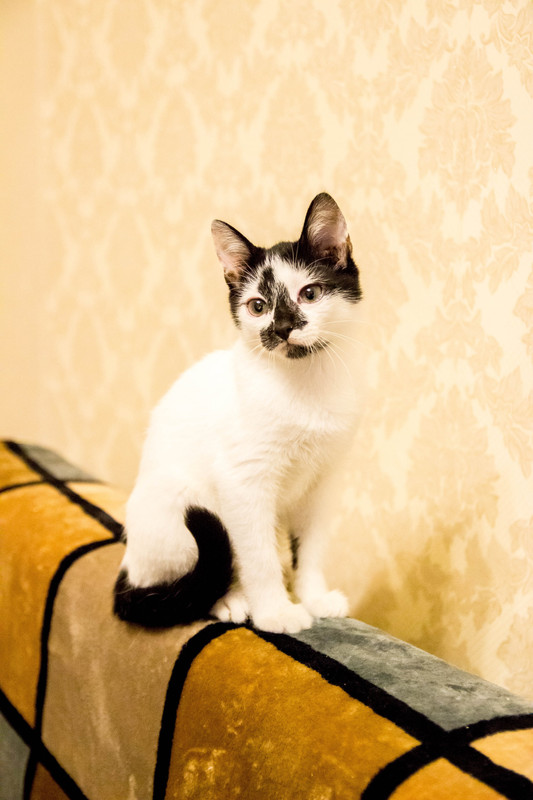 подросток-1-12