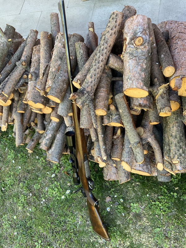 94AC1054-BB2D-4207-83B9-2FC654E34CF5