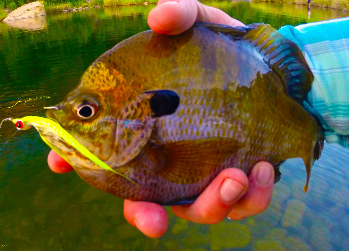 76B780A5-220B-4E74-ABE6-99116345D97E