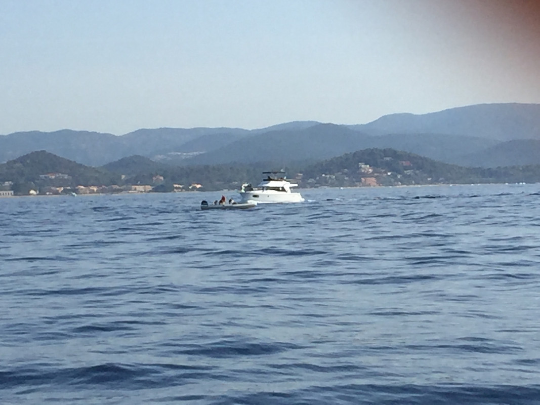 003A5BB2-ECE6-476B-9070-3BD2BCFBA636