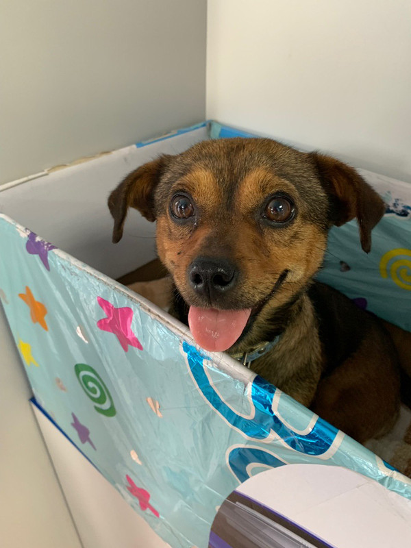 6B8F4ADD-CED0-465C-ACDE-C962F791046C