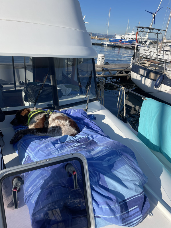 9256C970-4824-4B23-BFD5-20A769EFBFAA