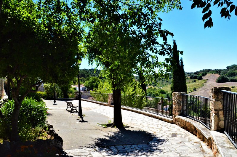 Madrid y sus pueblos-2000/2022 - Blogs of Spain - OLMEDA DE LAS FUENTES-5-6-2020 (9)
