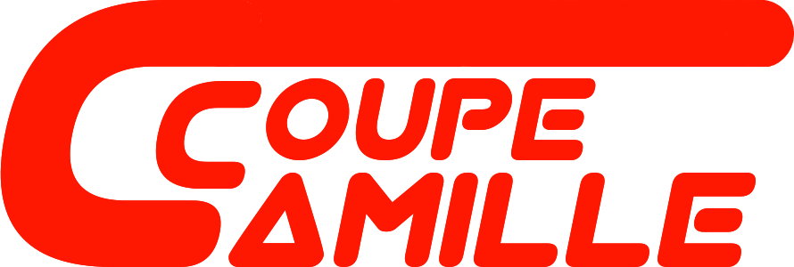 https://i.postimg.cc/MG8MLRXs/Coupe-Camille-alternatif.png