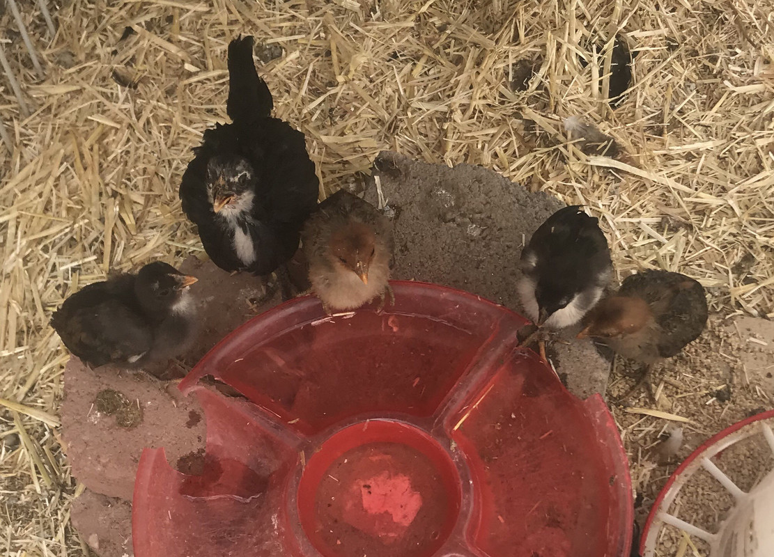 74609980-6F5C-4CE7-A062-FA80CDDE2E81