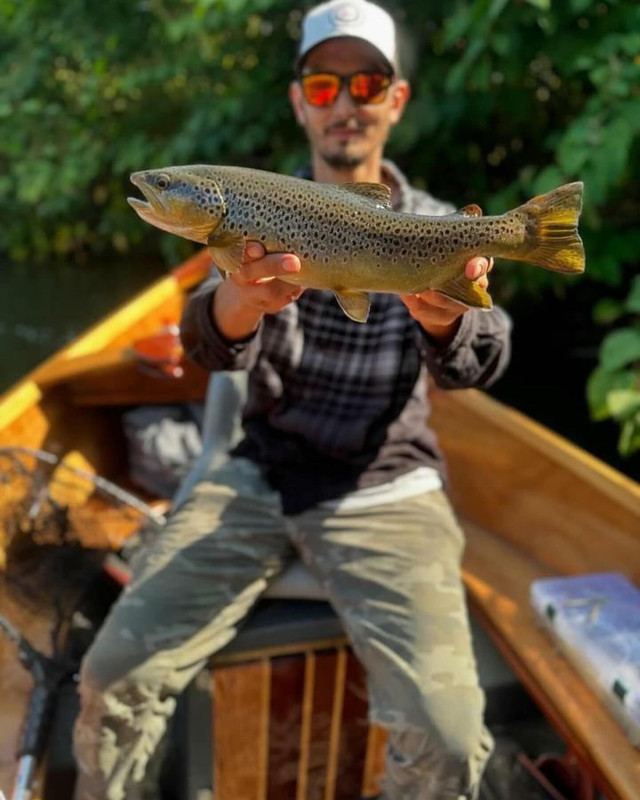 28F92E59-1B64-43D6-8F38-5693D1400DC8