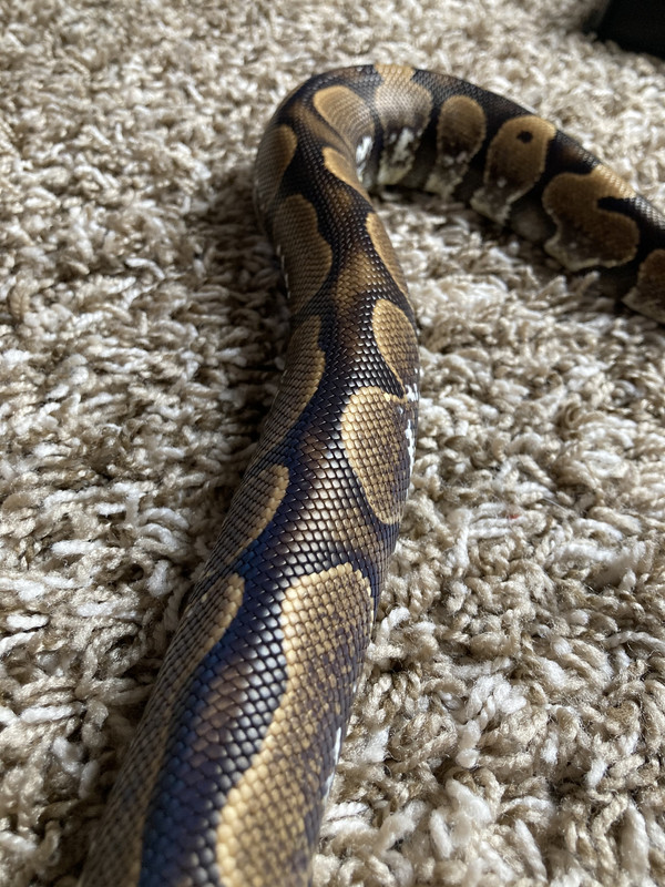 D5D29F55-082A-4AB6-B6C2-ADEEDADCADB8