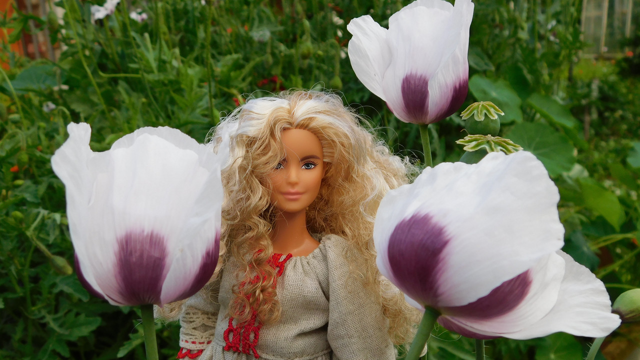 Дачное июль кудряшка , маус-машина и природа 049