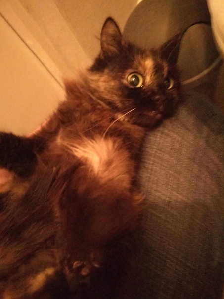 8DC75AF4-F798-441E-96E3-DE7B78CA149C