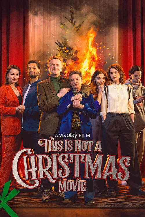 This is Not a Christmas Movie / Dit is geen kerstfilm (2024) PL.WEB-DL.XviD-GR4PE / Lektor PL