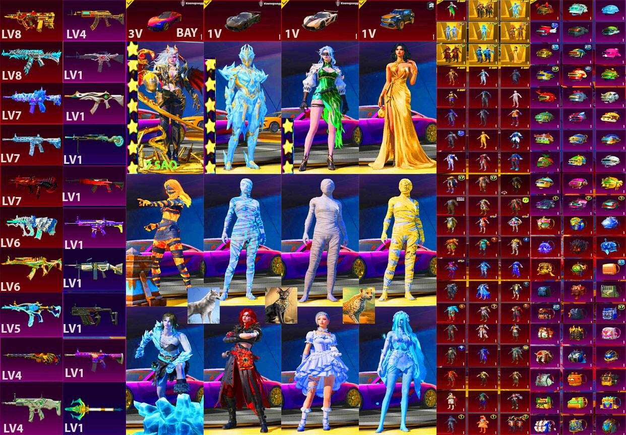 Account #338 - Image 1