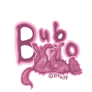 profile-bumbo.png