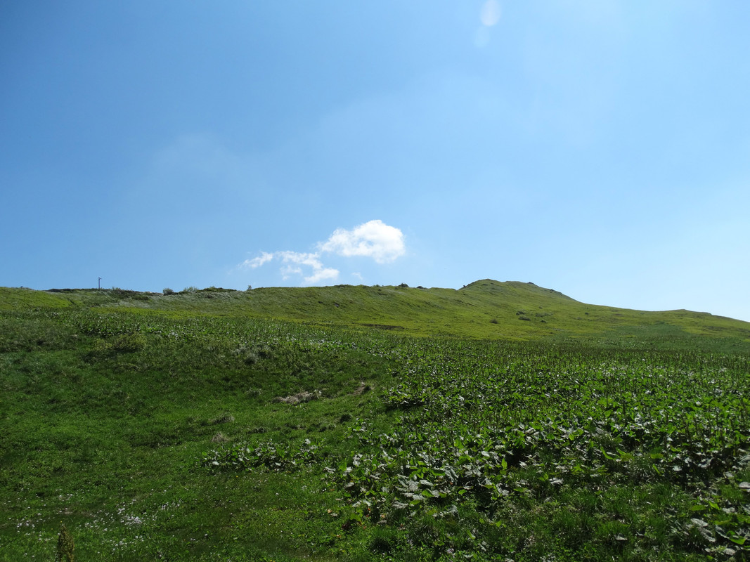 043 - DSC00974 (Mirmił)