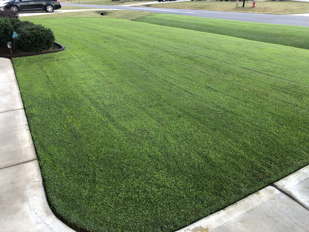 16235F6E-1DB6-45D1-A01A-4CE67233C780