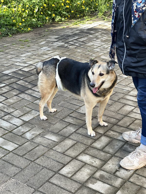 44A1F8C4-1ECD-4B6C-A761-011DD7DEE128