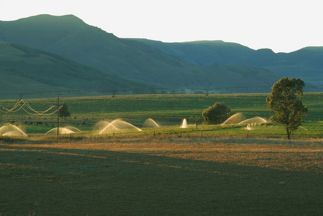 Fertilizantes inteligentes: las nuevas tecnologías ayudan a cuidar el planeta, a nuestras plantas y cultivos Riego-cultivos