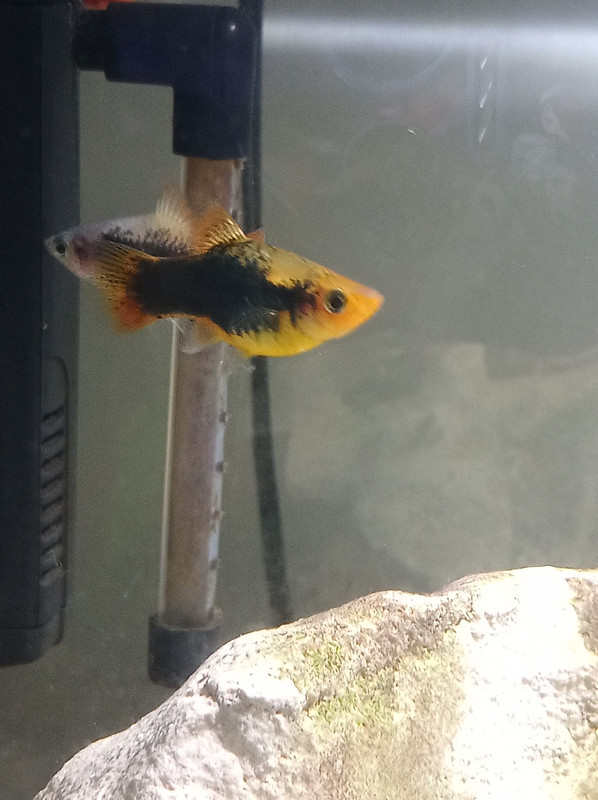 IMG_20240525_161832_256