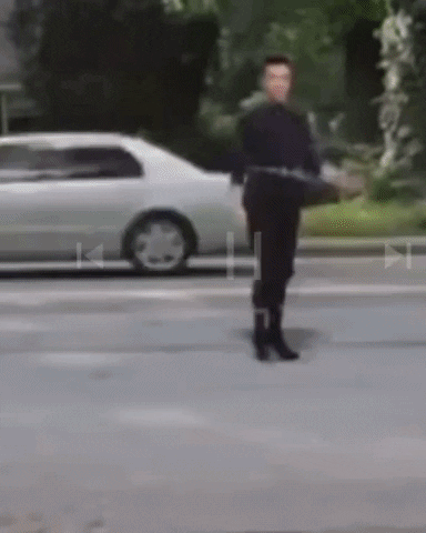 giphy-10.gif