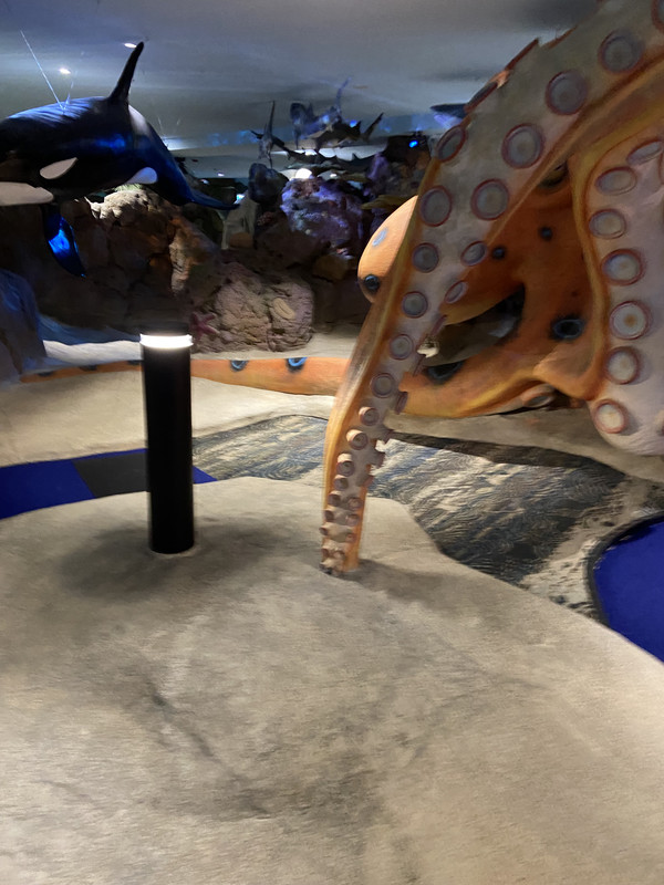 IMG 0314