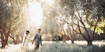 Lighting and Posing for Wedding Photographersby by Caroline Tran