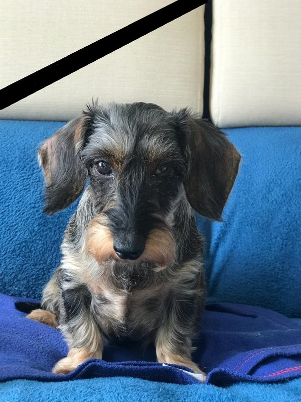 [Image: IMG-20230329-175701.jpg]