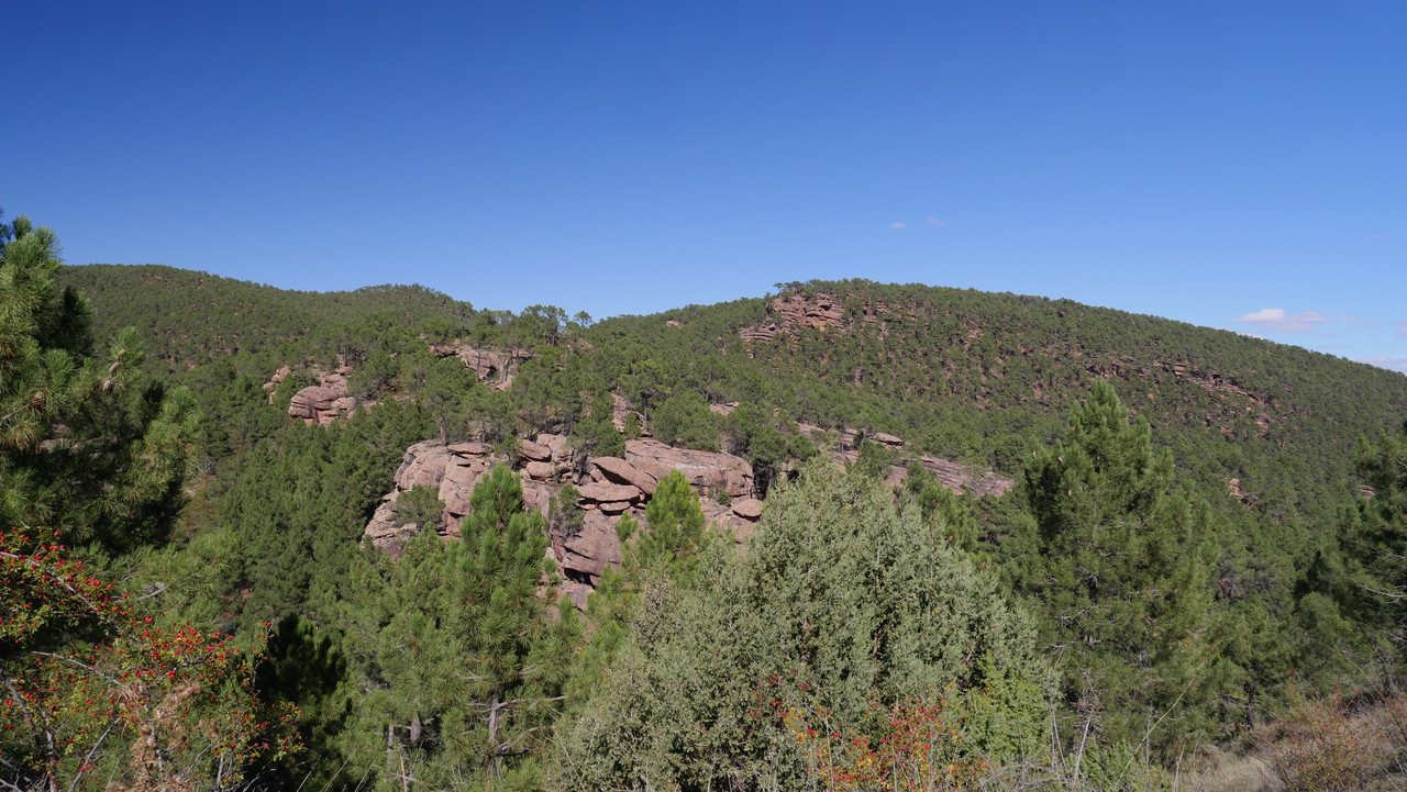 778FEF9C-84DE-4232-996B-10D3D3A3CCC6