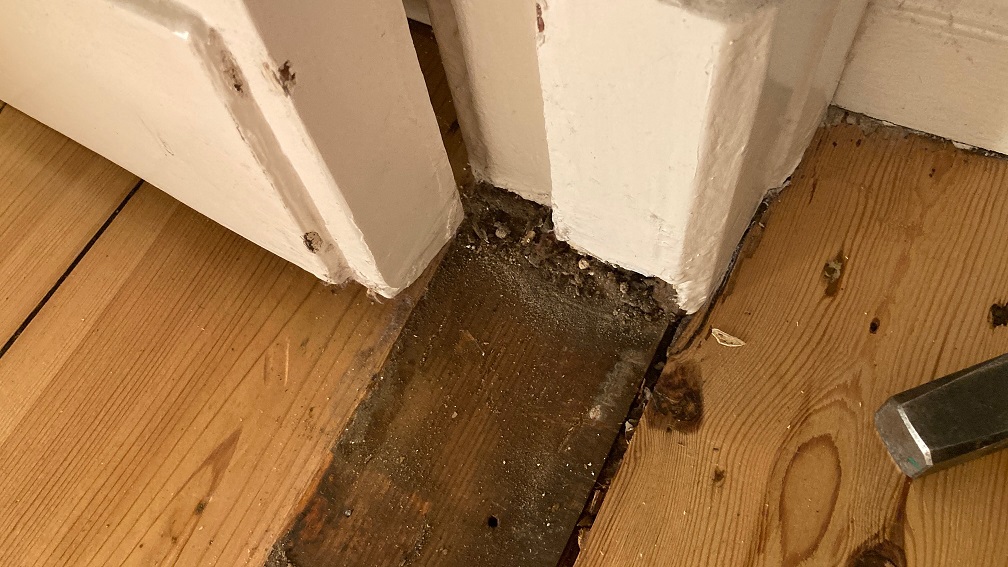 [Bild: IMG-2949.jpg]