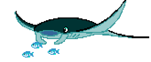 ray