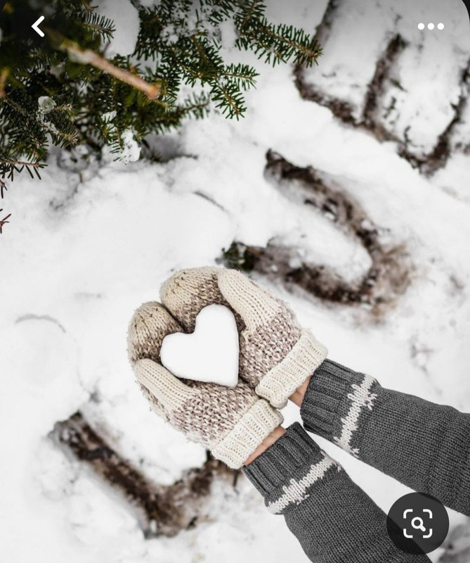 Screenshot_20231124_221324_Pinterest