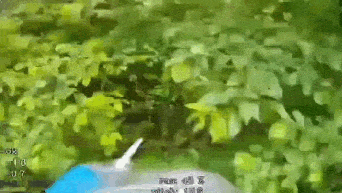 https://i.postimg.cc/MGCdCGbm/ezgif-4c7185bfb6af77aa.gif