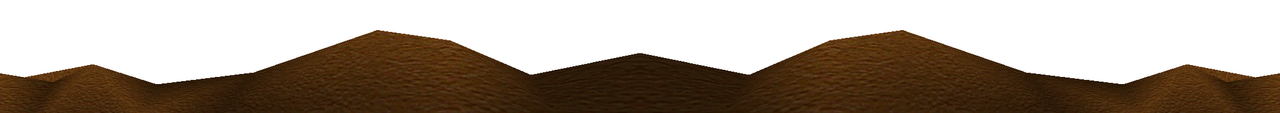 Layer 0