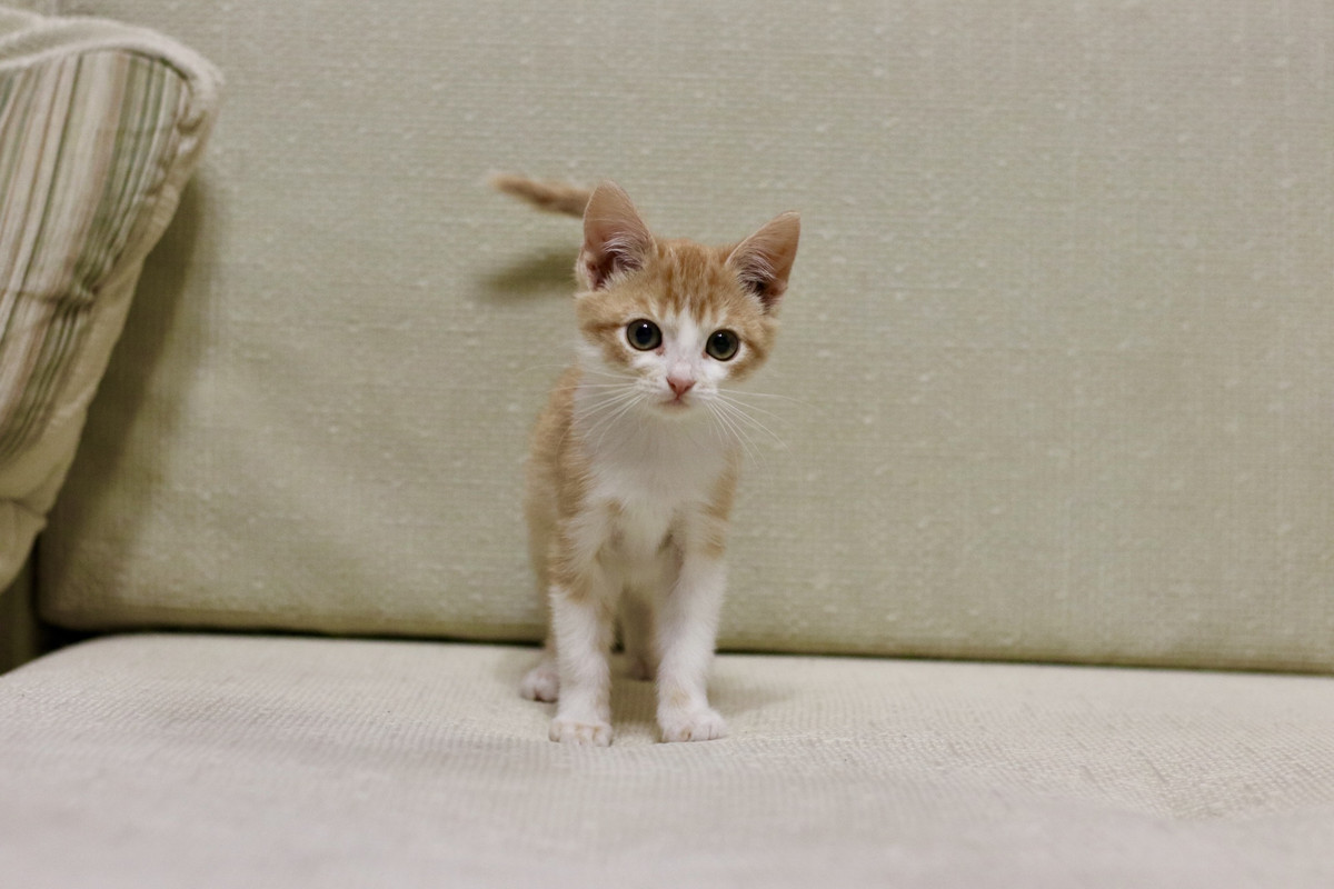 DBCB61F8-DE1D-4AA5-B6BE-B73D02DE92F9