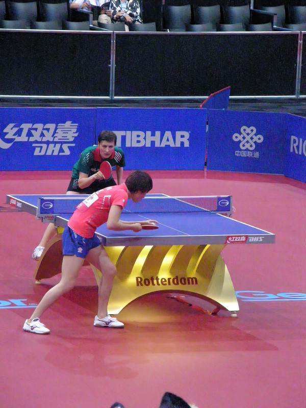 P5121436-Tsai.jpg