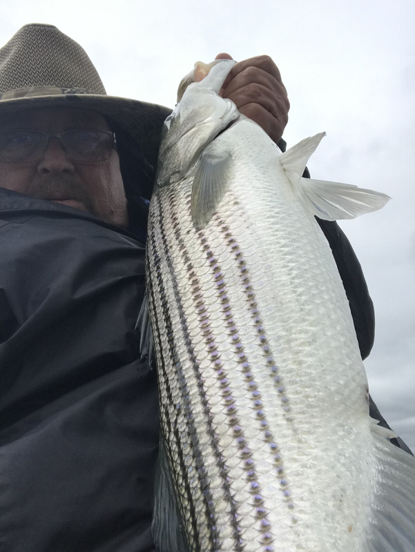 B89EA23B-ABA2-4D4C-857B-14592987E79A