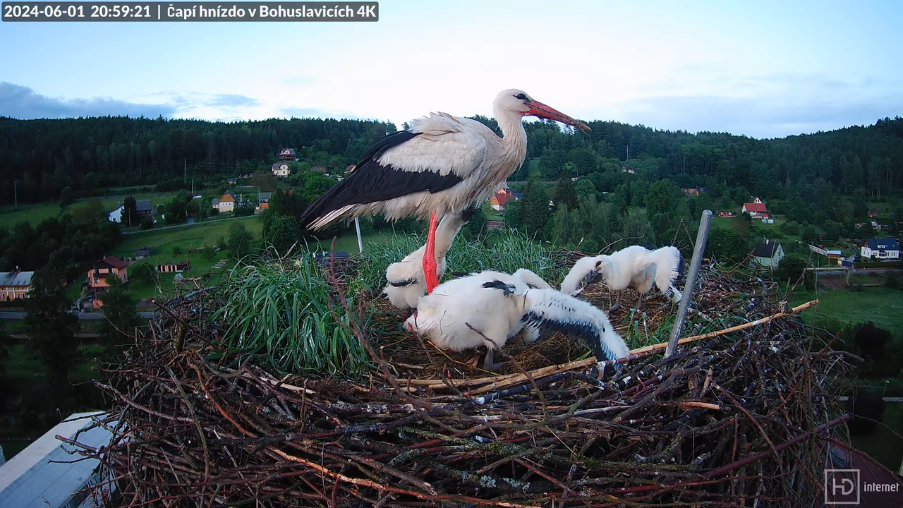 Tiešraidē no uzņēmuma KARA stārķa skursteņa Bohuslavicē pie Trutnovas 13-31-47 screenshot (1)