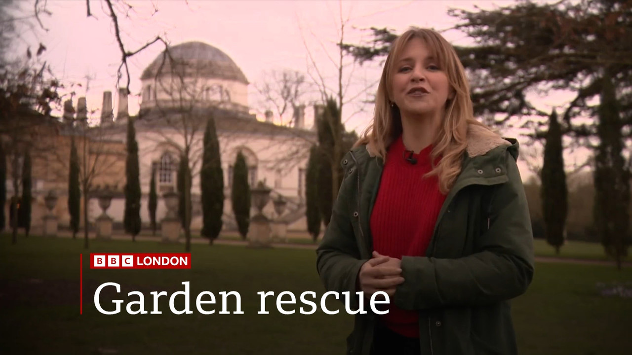 BBC London News_20240305_18301900.ts_snapshot_02.49.743
