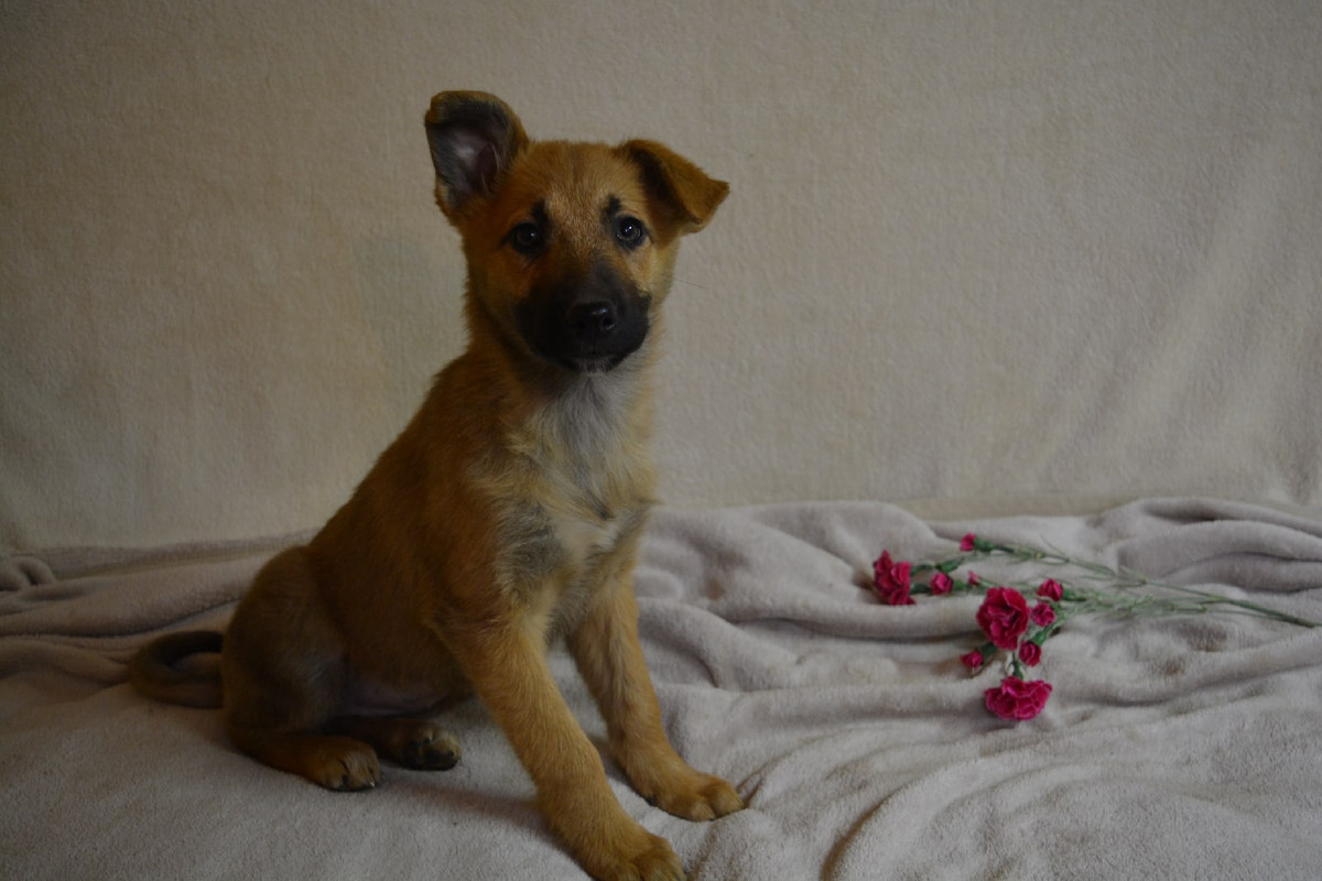 21-50-38-1nf0p7r12W4