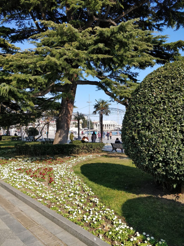 IMG_20230409_131356_889