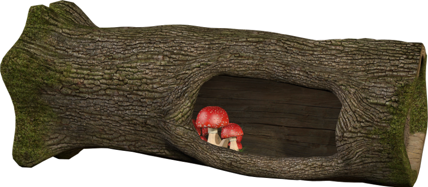 Alice In Wonderland (167)