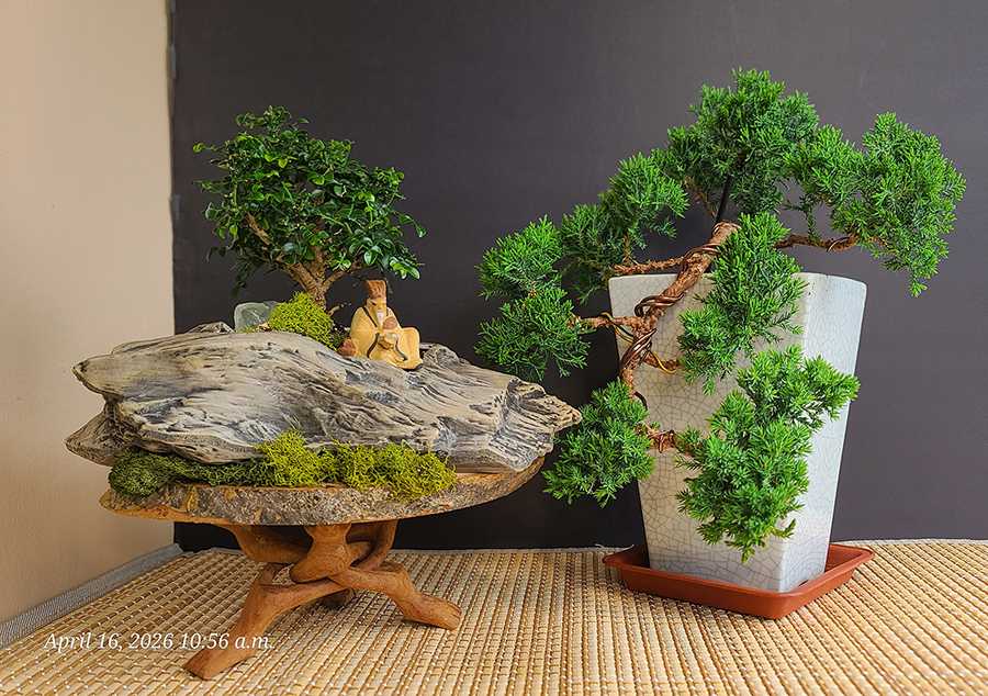 [Image: 20260416-105649b.jpg]