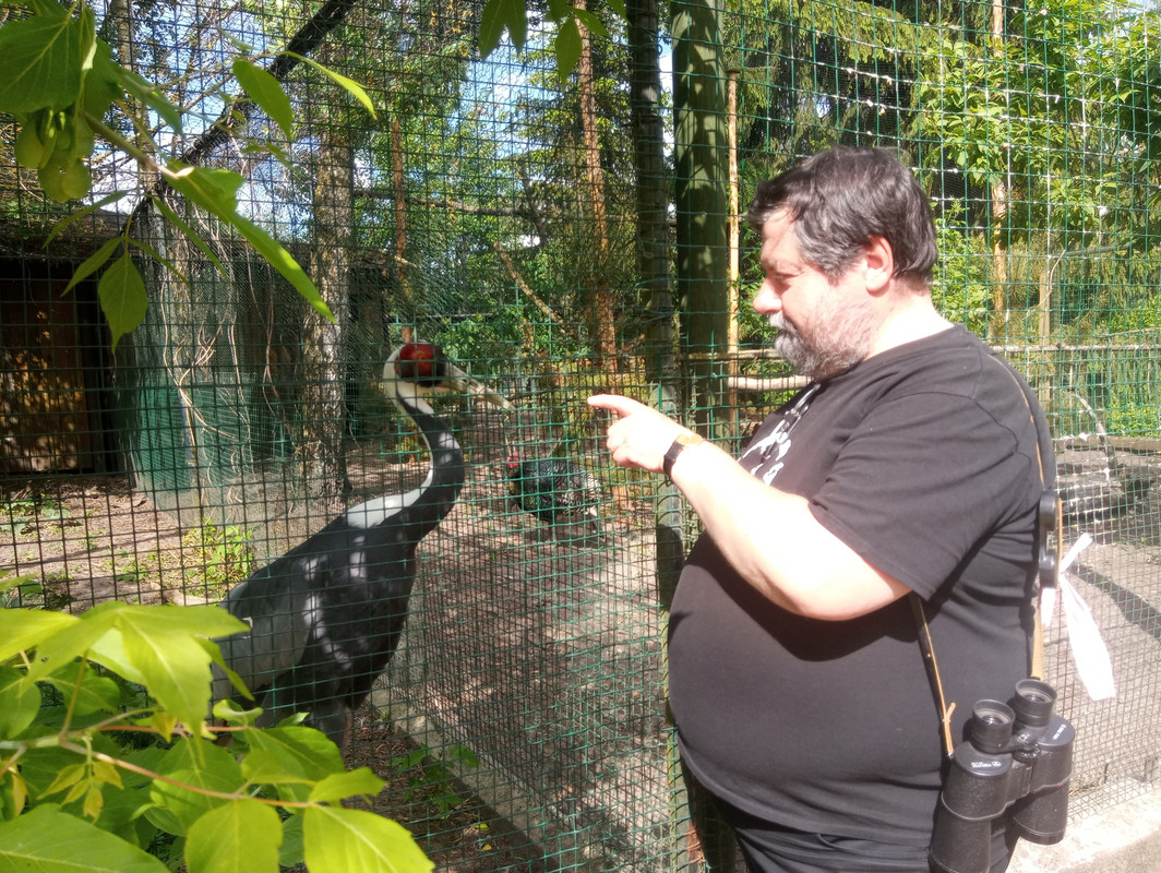 10.12 - 20210604_150856 (TomaszK)