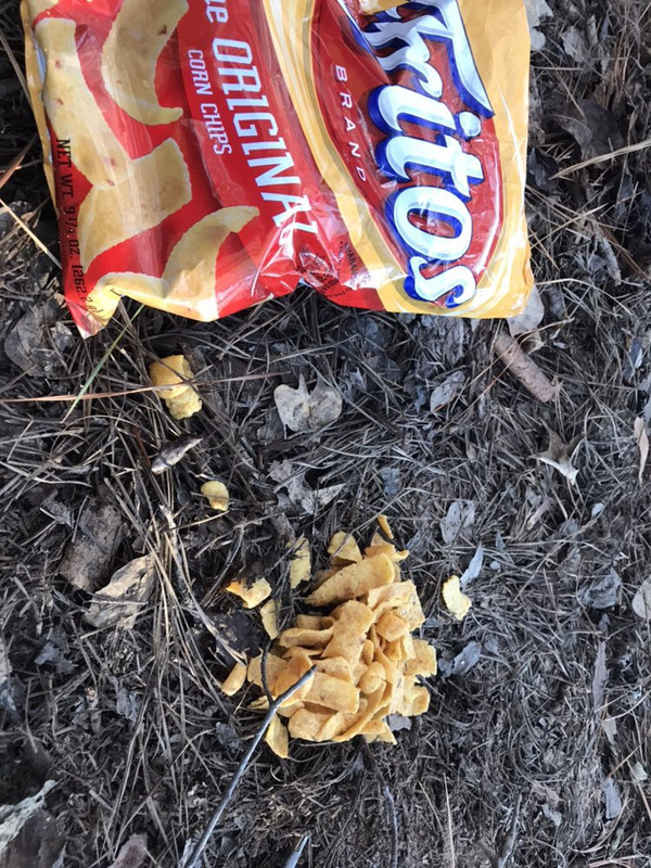 A88F5E71-4FDD-43CE-AEBA-E2A9302DB4D7